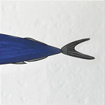 Плитка с узором Рыба пловчиха варинант исполнения - 6 | Loft Concept в Челябинске