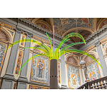 Дизайнерский торшер в виде пальмы Poltronova Sanremo Floor Lamp варинант исполнения - 9 | Loft Concept в Челябинске