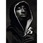 Подарочная книга величайший фотограф Альберт Уотсон The Vienna album Albert Watson варинант исполнения - 2 | Loft Concept в Челябинске