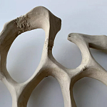 Блюдо «Бежевый коралл» варинант исполнения - 3 | Loft Concept в Челябинске