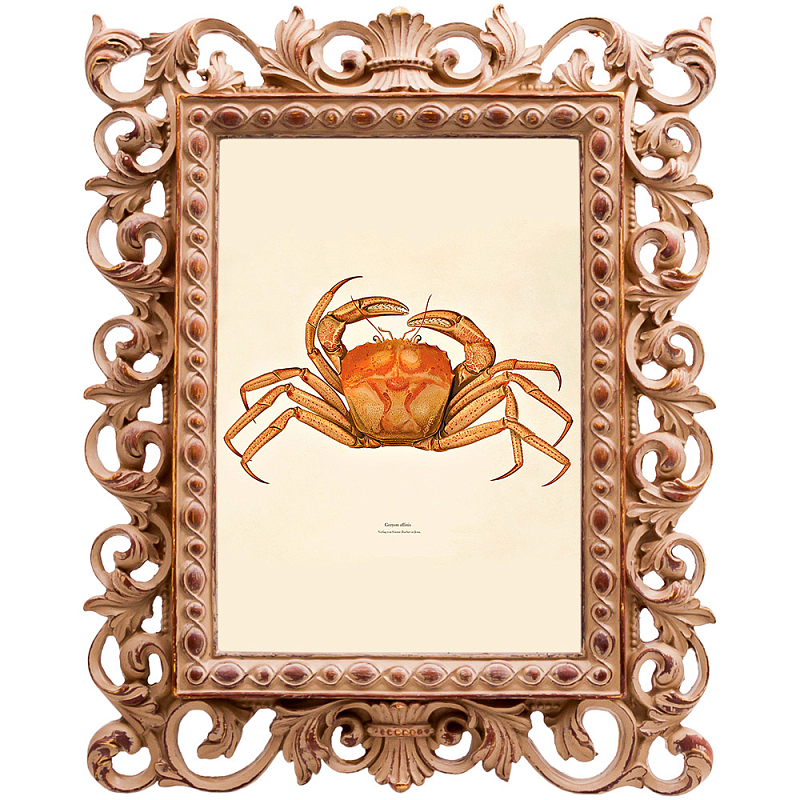 Постер Ocher Crab Poster Бежевый Оранжевый Постер Ocher Crab Poster Бежевый Оранжевый в Челябинске | Loft Concept