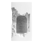 Встраиваемый в стену гипсовый светильник под покраску с эффектом разрушенной стены Antiquity Athena варинант исполнения - 2 | Loft Concept в Челябинске