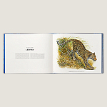 Лимитированная подарочная книга HERMES Fierce and Fragile book, English version варинант исполнения - 3 | Loft Concept в Челябинске