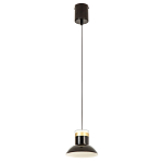 Подвесной светильник Celevis Black варинант исполнения - 2 | Loft Concept в Челябинске