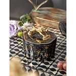 Шкатулка черного цвета с крышкой с фигуркой льва Eden Garden варинант исполнения - 6 | Loft Concept в Челябинске