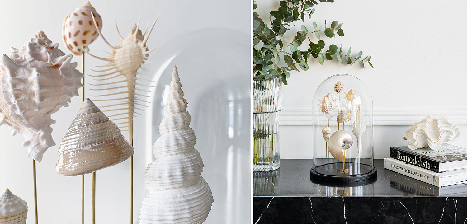Статуэтка Shell Collection Glass Cloche 1 Статуэтка Shell Collection Glass Cloche 1 - Loft-Concept в Челябинске