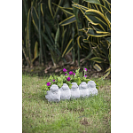 Кашпо Canaries варинант исполнения - 6 | Loft Concept в Челябинске