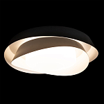 Потолочный светильник круглый черного цвета из металла Vita Cuna варинант исполнения - 1 | Loft Concept в Челябинске