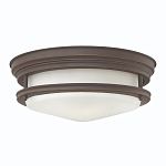 Потолочный светильник для ванных комнат со стеклянным плафоном в форме перевернутого конуса Hinkley варинант исполнения - 21 | Loft Concept в Челябинске