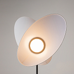 Напольный светильник Evolution 3000К 12Вт варинант исполнения - 5 | Loft Concept в Челябинске