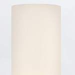 Бра для ванных комнат вертикальное с двумя матовыми белыми стеклянными плафонами Hinkley варинант исполнения - 4 | Loft Concept в Челябинске