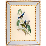 Постер с изображением птиц и цветов в зеркальной раме Blooming Birds Poster варинант исполнения - 5 | Loft Concept в Челябинске