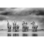 Книга Beusker. Look into my Eyes варинант исполнения - 4 | Loft Concept в Челябинске