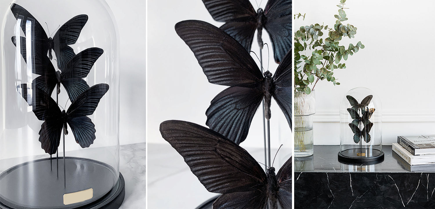 Статуэтка 3 Butterflies Papilio Memnon Glass Cloche Статуэтка 3 Butterflies Papilio Memnon Glass Cloche - Loft-Concept в Челябинске