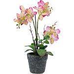 Декоративный искусственное растение Pink orchid варинант исполнения - 5 | Loft Concept в Челябинске