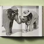 Книга в подарок творческий путь Брюса Вебера Bruce Weber. My Education варинант исполнения - 6 | Loft Concept в Челябинске