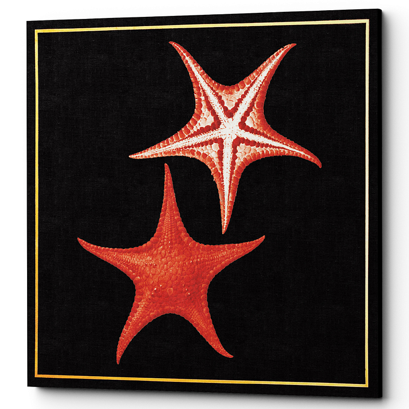 Постер Sea Stars Poster Черный Красный в Челябинске | Loft Concept 
