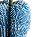 Статуэтка тропический фрукт Tropical Fruit blue варинант исполнения - 3 | Loft Concept в Челябинске