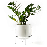 Кашпо из керамики Elevated Planters 32 варинант исполнения - 11 | Loft Concept в Челябинске