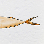 Плитка с узором Рыба Русалка варинант исполнения - 6 | Loft Concept в Челябинске