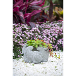 Кашпо A collection of baby rabbits варинант исполнения - 9 | Loft Concept в Челябинске