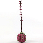 Статуэтка тропический фрукт Pandora Tropical Fruit Tall Pink Green варинант исполнения - 3 | Loft Concept в Челябинске