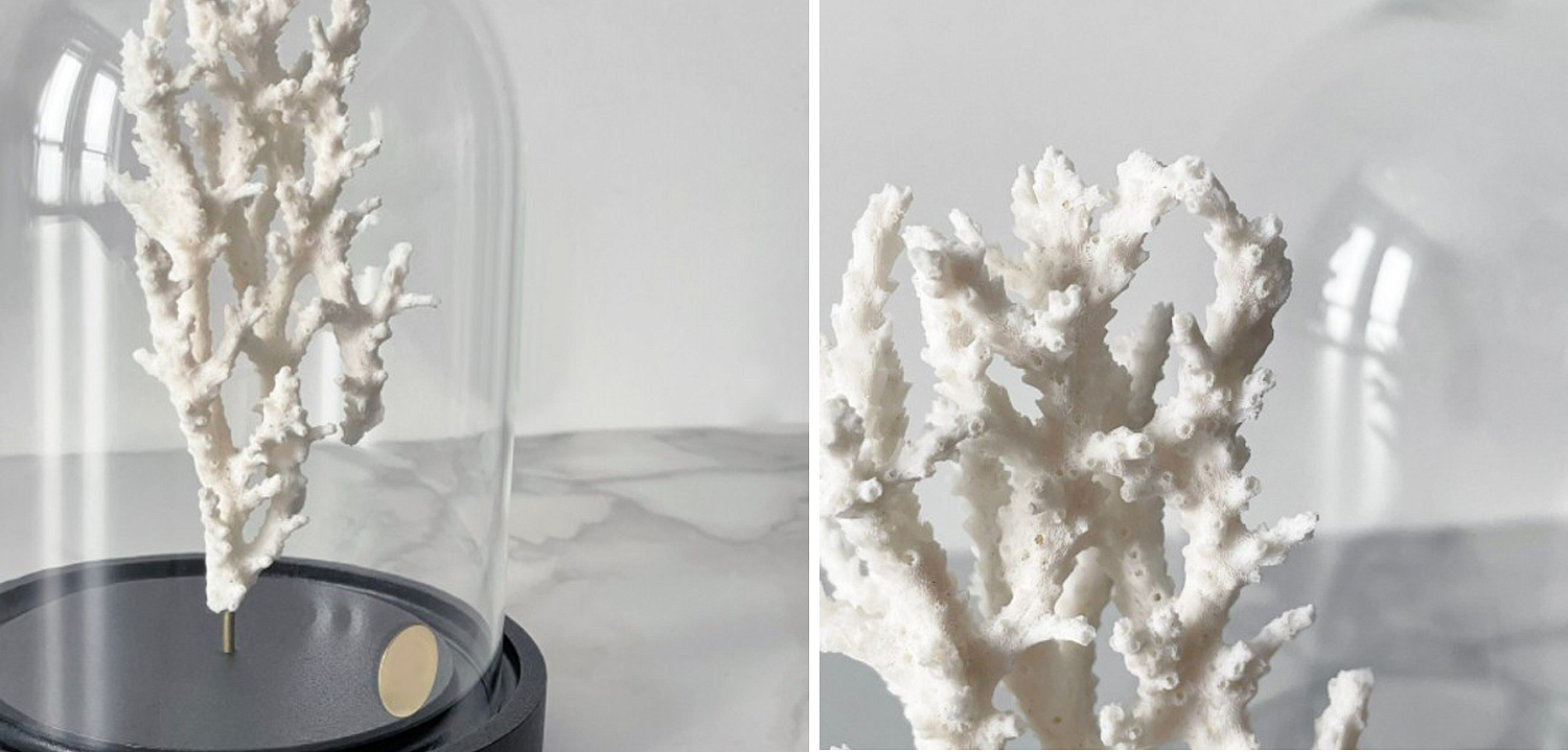 Статуэтка White Coral Glass Cloche Статуэтка White Coral Glass Cloche - Loft-Concept в Челябинске