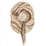 Овальный Современный Гобелен Абстракция в бежевых тонах Shallow варинант исполнения - 7 | Loft Concept в Челябинске