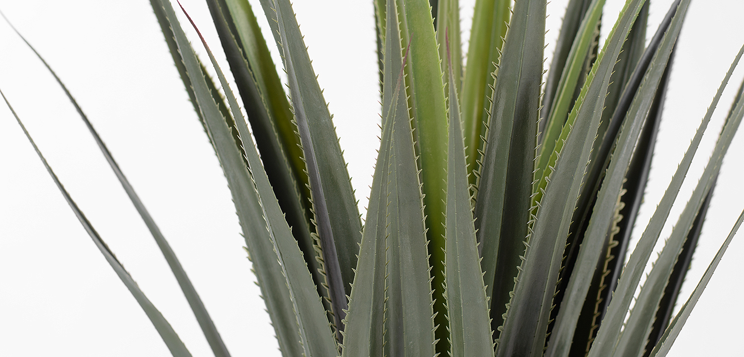 Декоративный искусственный цветок Aloe Plant Декоративный искусственный цветок Aloe Plant - Loft-Concept в Челябинске
