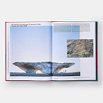 Radical Architecture of the Future варинант исполнения - 4 | Loft Concept в Челябинске