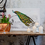 Постер на холсте с изображением павлина на ветке Majestic Peacock on a Tree Poster варинант исполнения - 2 | Loft Concept в Челябинске