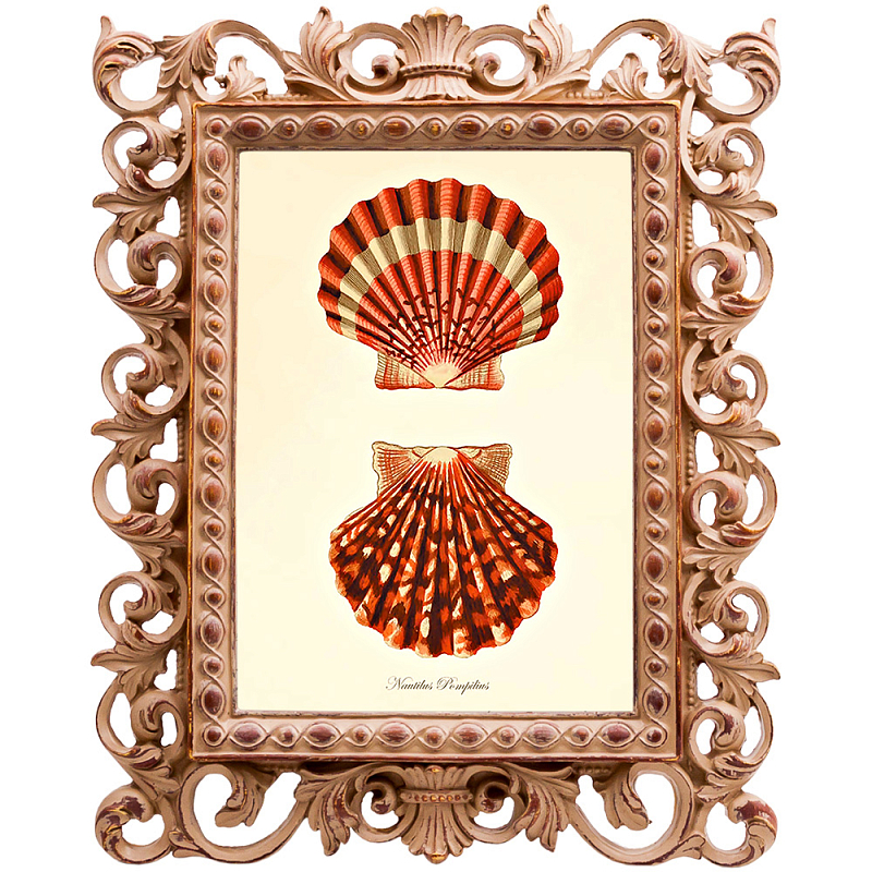 Постер Red Scallop Poster Бежевый Красный в Челябинске | Loft Concept 