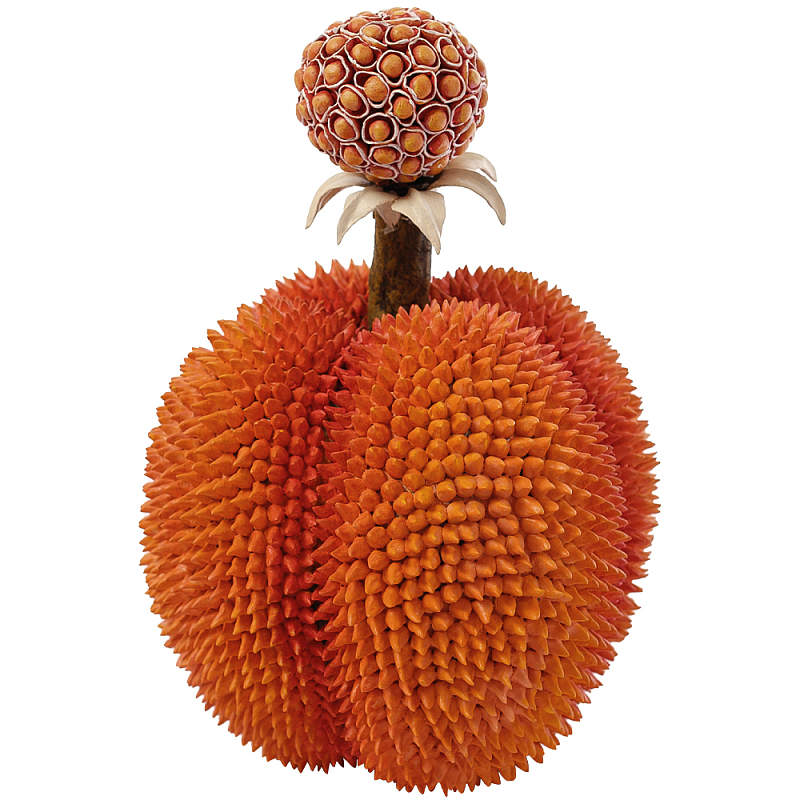 Статуэтка тропический фрукт Tropical Fruit Orange Prickly Berry Оранжевый Статуэтка тропический фрукт Tropical Fruit Orange Prickly Berry Оранжевый в Челябинске | Loft Concept