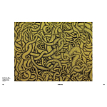 Редкое подарочное издание Yayoi Kusama: 1945 to Now варинант исполнения - 7 | Loft Concept в Челябинске