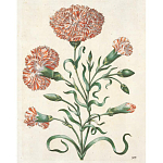 Книга цветов 22 постера Maria Sibylla Merian: 22 Pull-Out Posters варинант исполнения - 4 | Loft Concept в Челябинске