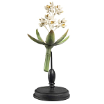 Статуэтка Wonderboom варинант исполнения - 1 | Loft Concept в Челябинске