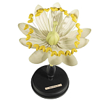 Статуэтка Tilia варинант исполнения - 1 | Loft Concept в Челябинске