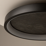 Потолочный светильник Orign 3000К варинант исполнения - 5 | Loft Concept в Челябинске