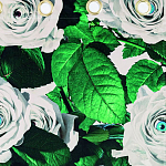 Штора Seletti Roses варинант исполнения - 1 | Loft Concept в Челябинске