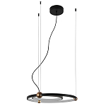 Люстра подвесная светодиодная черный металл Ring Horizontal варинант исполнения - 2 | Loft Concept в Челябинске