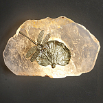 Бра Декоративный лист с стрекозой Glacial Fragment варинант исполнения - 2 | Loft Concept в Челябинске