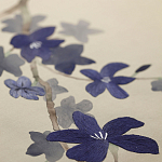 Обои ручная роспись Cherry Tree Original colourway on Stone Ochre dyed silk варинант исполнения - 3 | Loft Concept в Челябинске