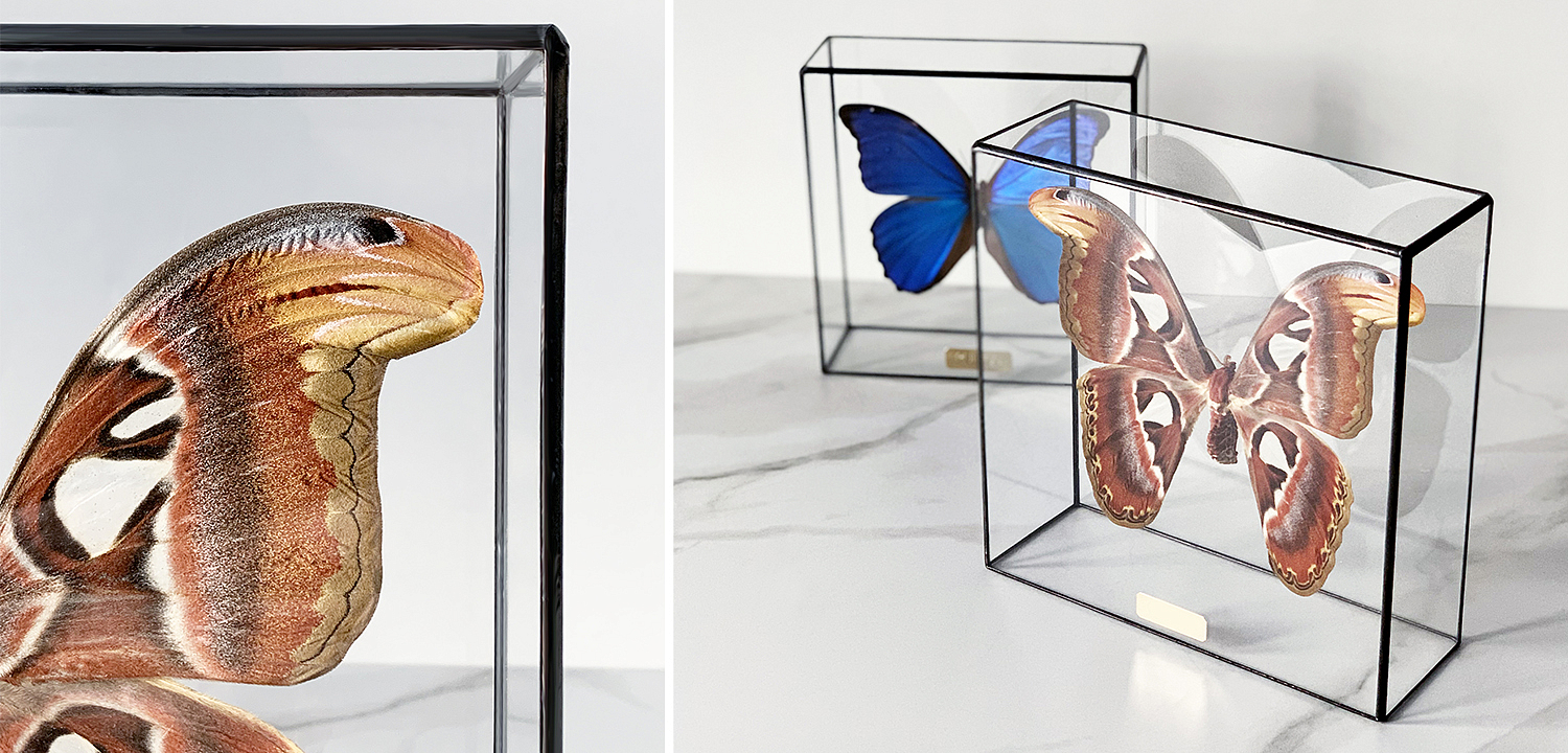 Статуэтка Butterfly Atlas Glass Box Статуэтка Butterfly Atlas Glass Box - Loft-Concept в Челябинске