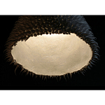 Светильник Acus варинант исполнения - 3 | Loft Concept в Челябинске