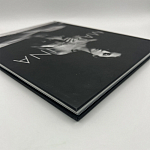 Коллекционная редкая книга Madonna: Nudes + by Martin H.M. Schreiber 2017 Букинистика варинант исполнения - 4 | Loft Concept в Челябинске