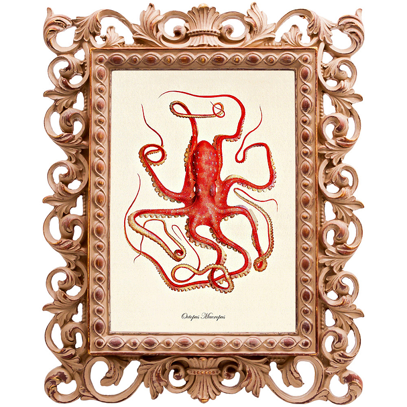Постер Red Squid Poster Бежевый Красный в Челябинске | Loft Concept 