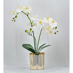Декоративный искусственное растение Lush Orchid варинант исполнения - 2 | Loft Concept в Челябинске