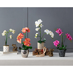 Декоративный искусственное растение Pink orchid варинант исполнения - 11 | Loft Concept в Челябинске