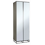 Двухдверный шкаф с зеркальными дверцами Strict Lines варинант исполнения - 1 | Loft Concept в Челябинске