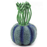 Статуэтка экзотический фрукт Exotic Tropical Fruit Green and Blue 64 варинант исполнения - 1 | Loft Concept в Челябинске